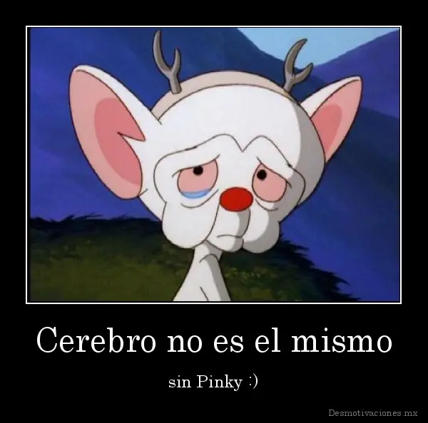 Pinky y Cerebro