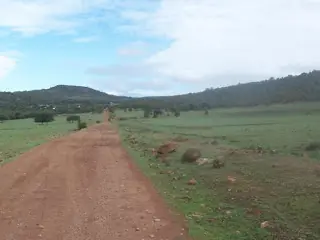 Las autoridades de México hacen bien su trabajo?