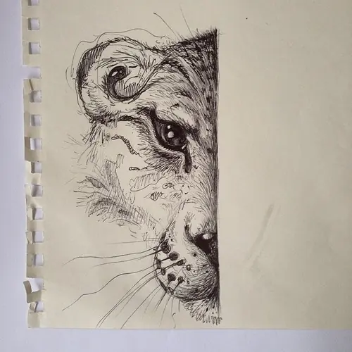 Dibujos propios