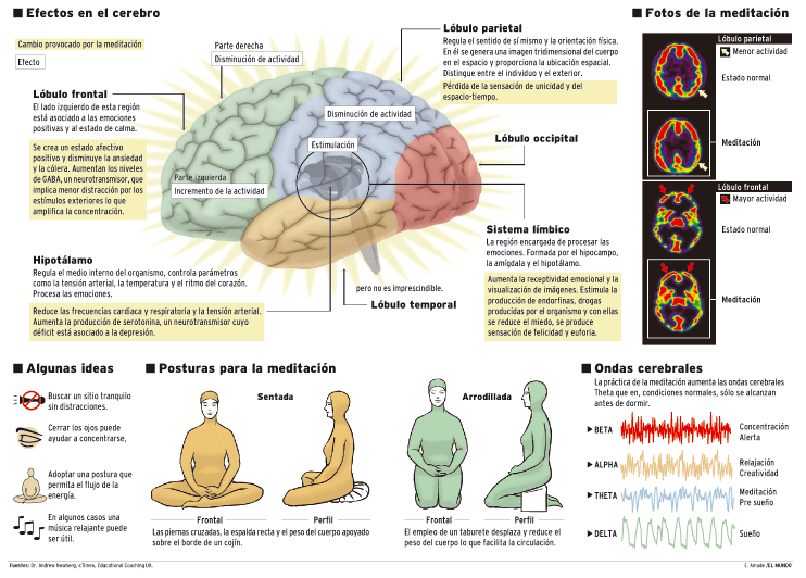 Ocho semanas de meditación bastan para cambiar el cerebro.