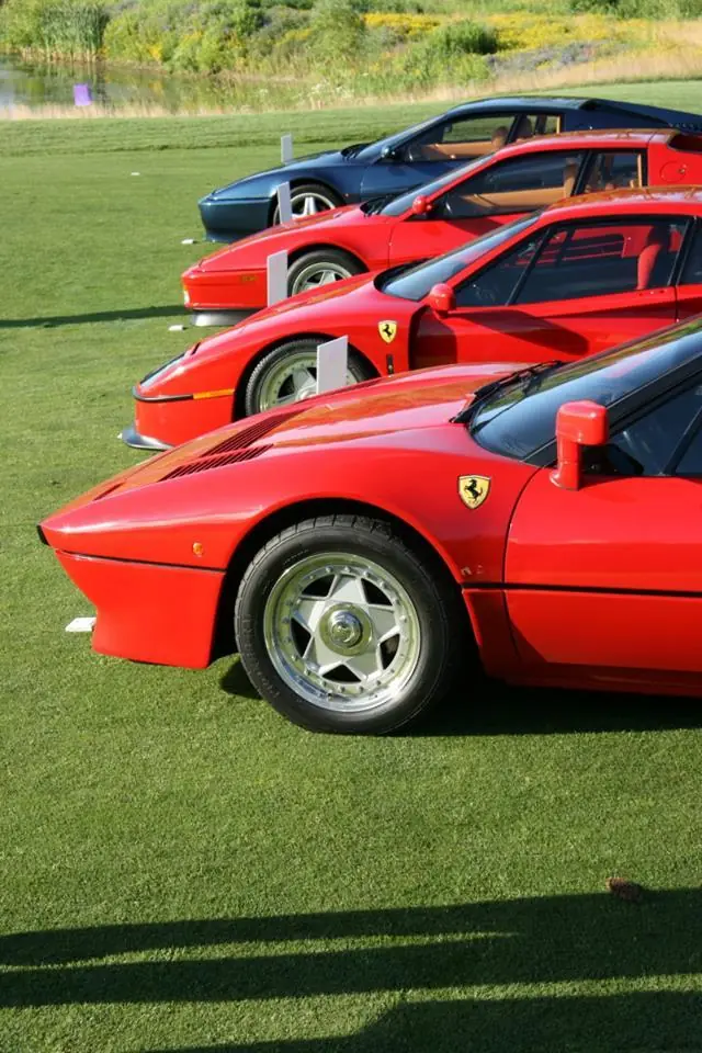 ferrari enzo