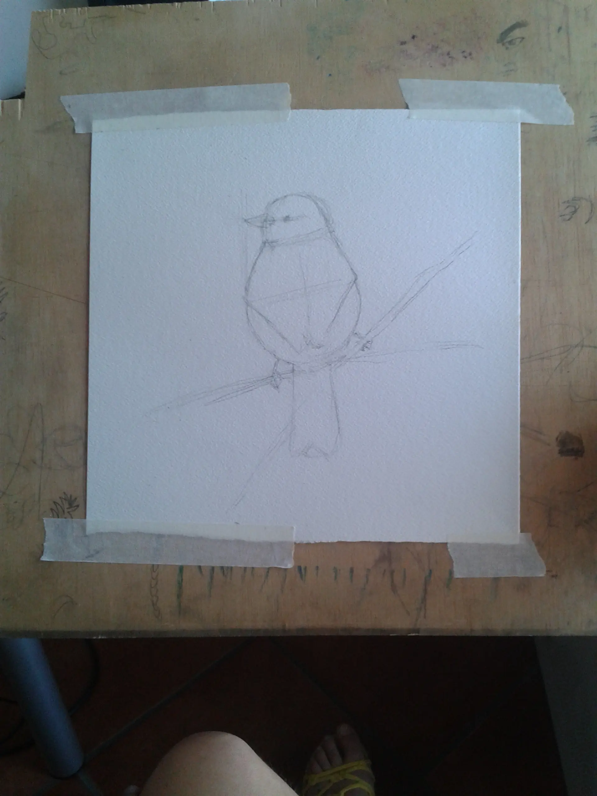 retrato