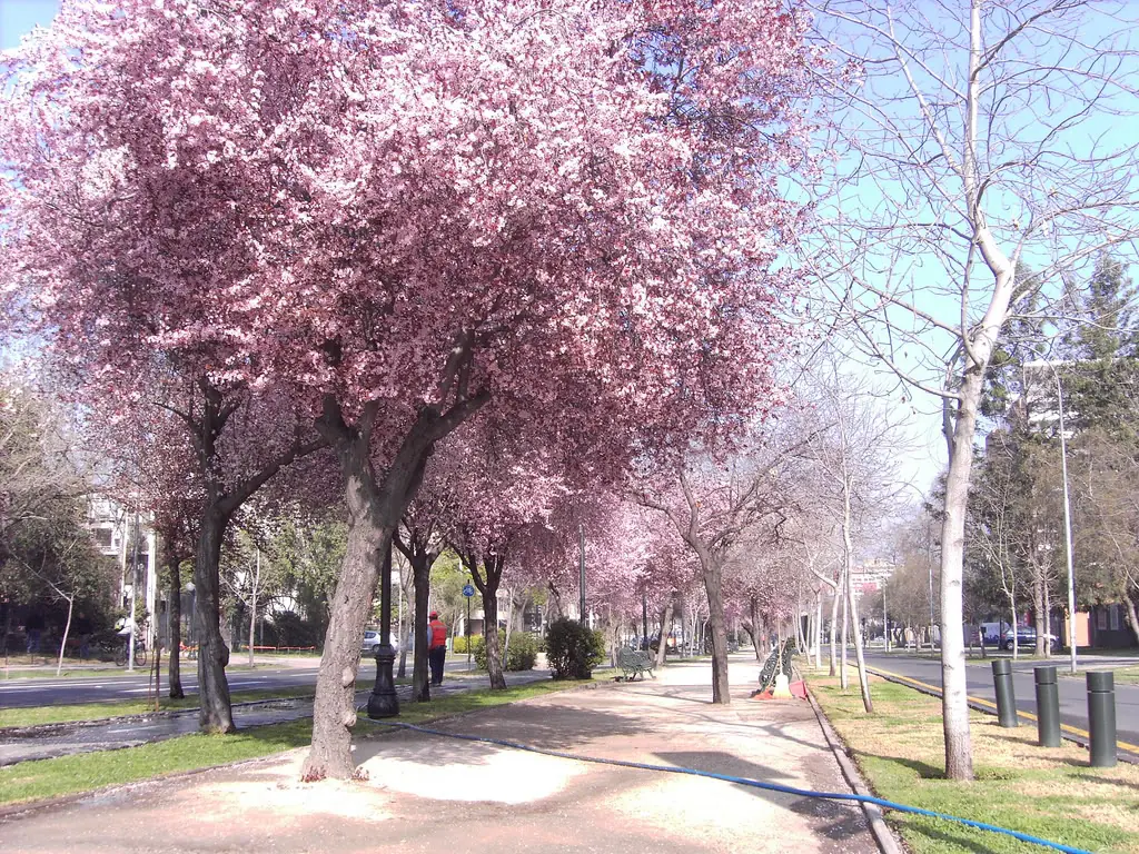 Santiago de chile