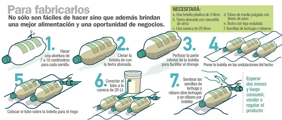 comida