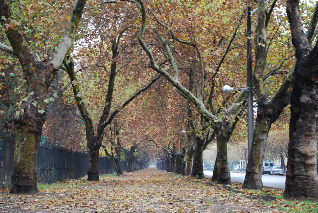santiago chile