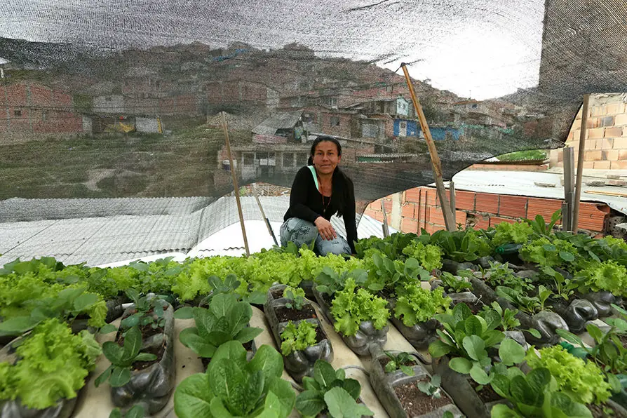 ecologia