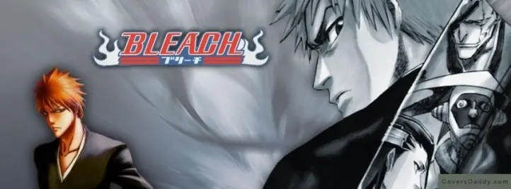 bleach