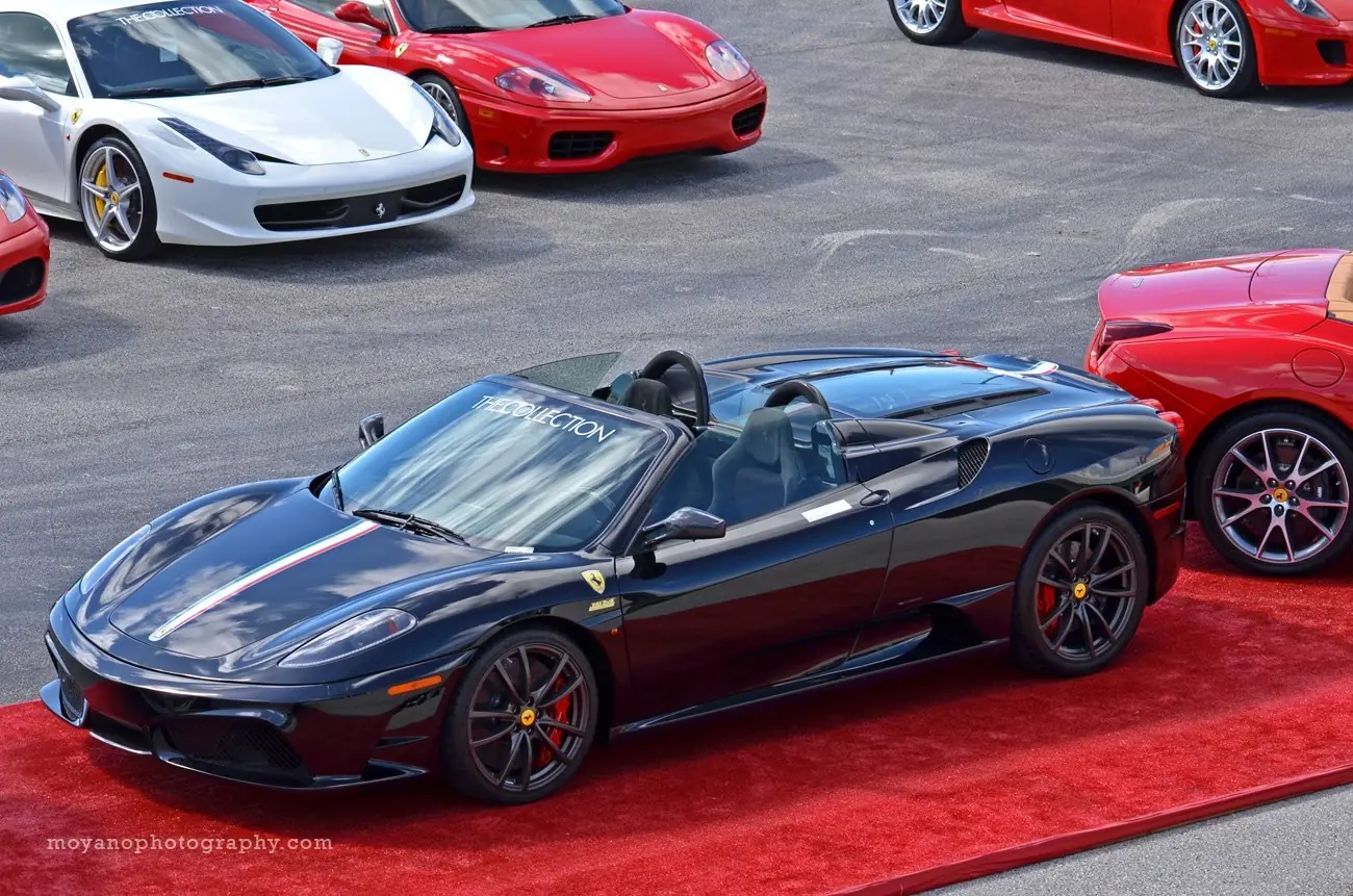 ferrari enzo