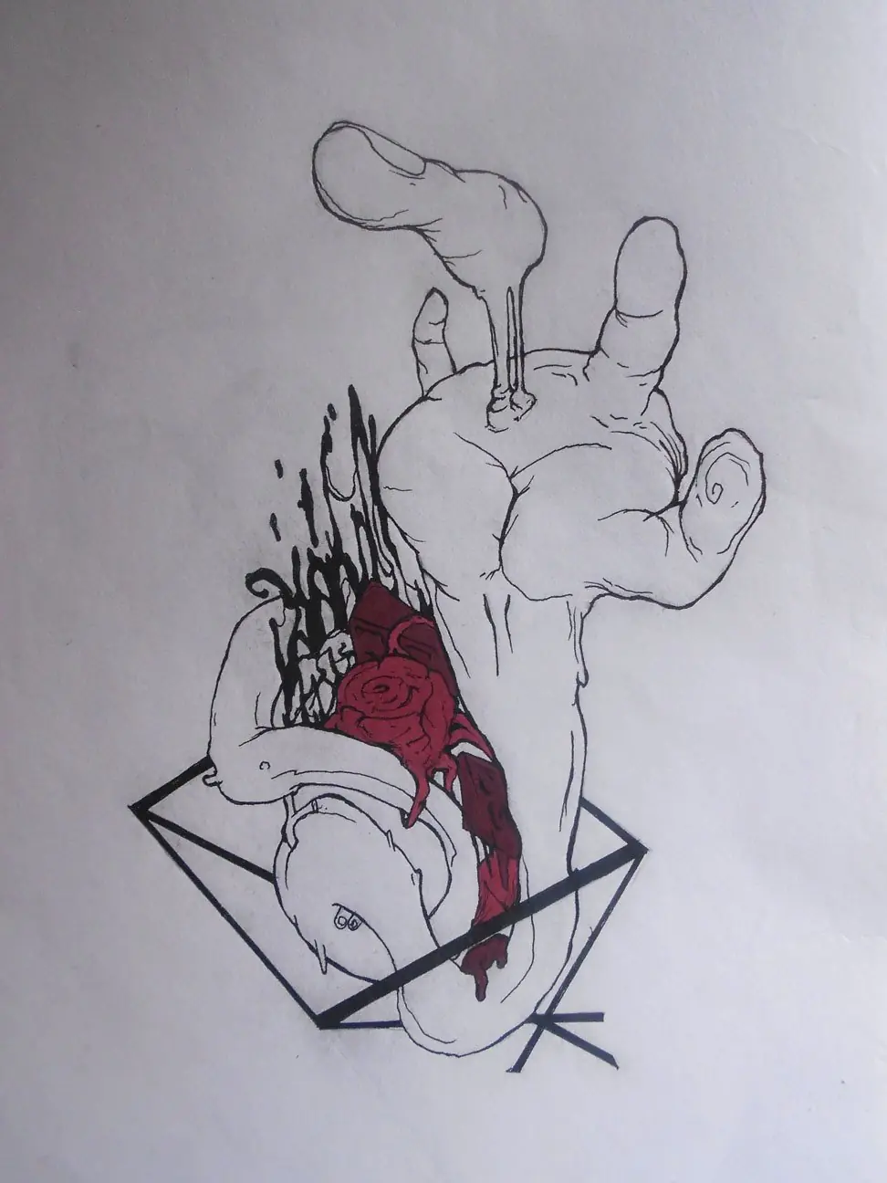 evolucion