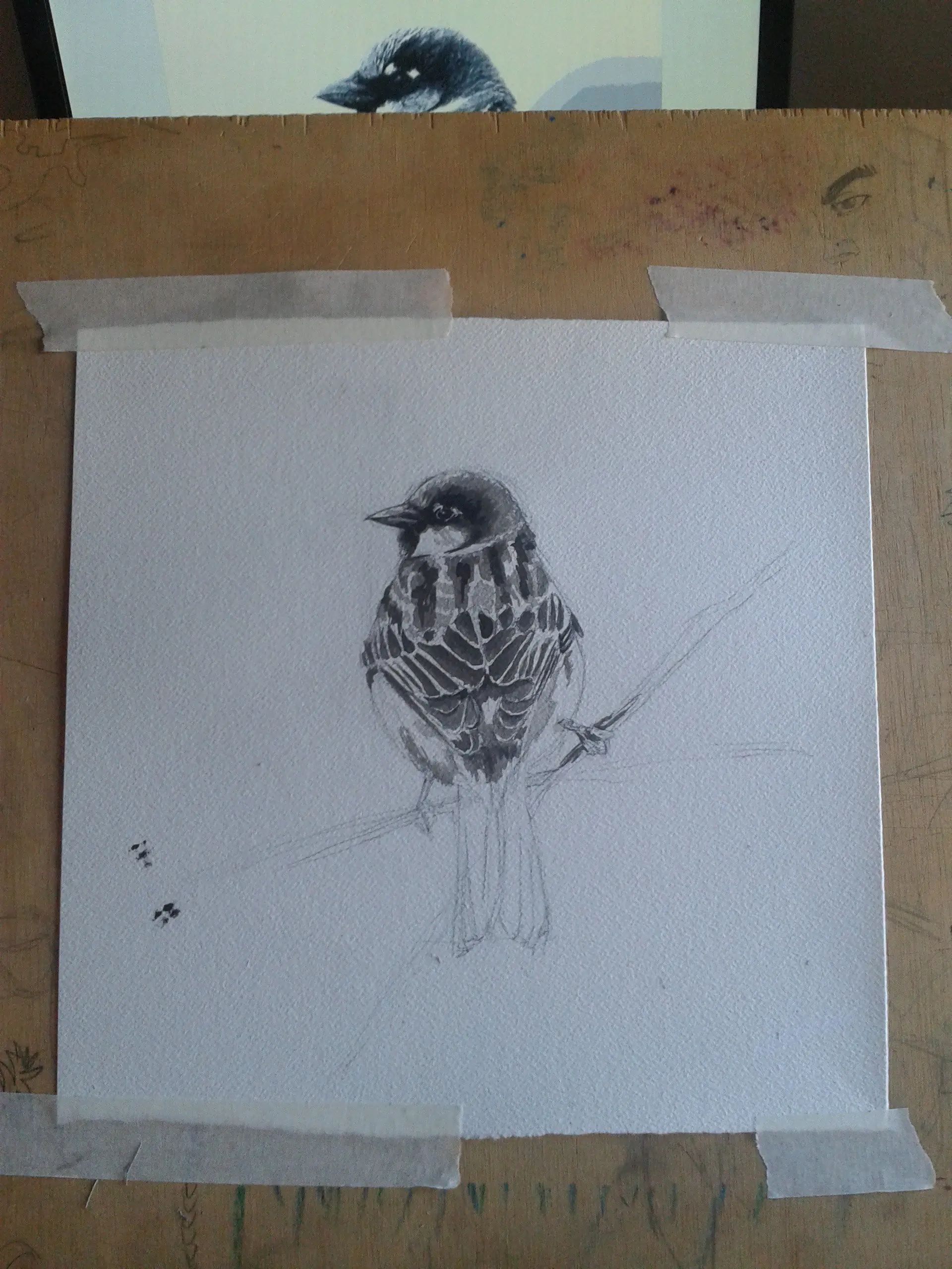 Acuarela propia con proceso de creación. By Mentiradeloro
