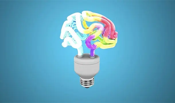 A que no sabias esto de tu cerebro