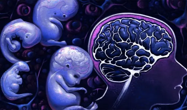 ciencia