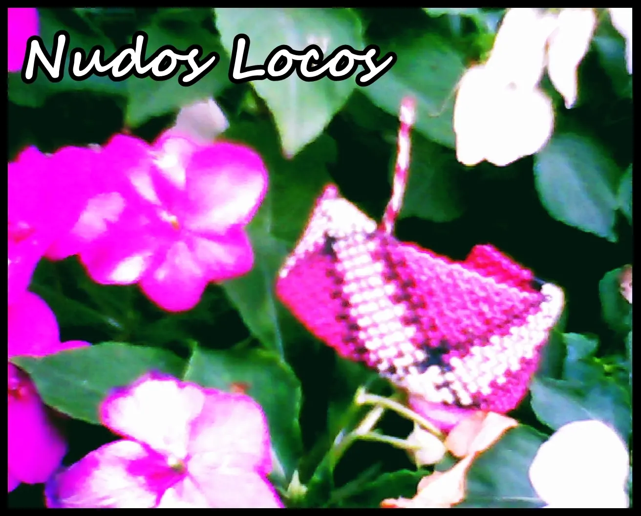 nudos locos