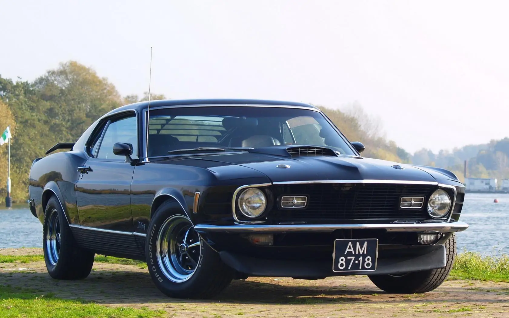 Ford Big Blocks