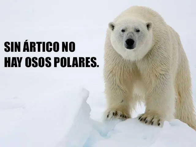 medio ambiente