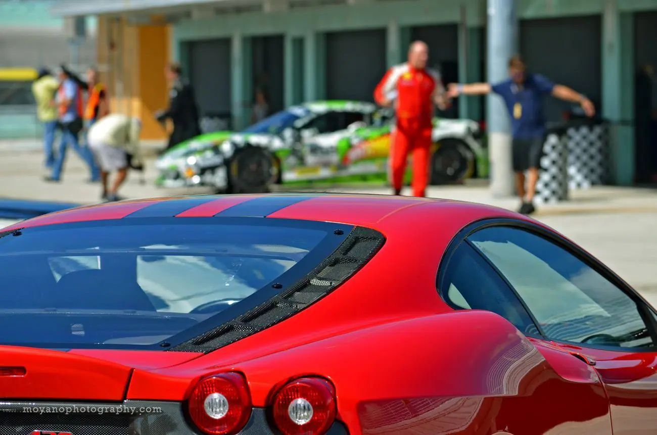 ferrari enzo