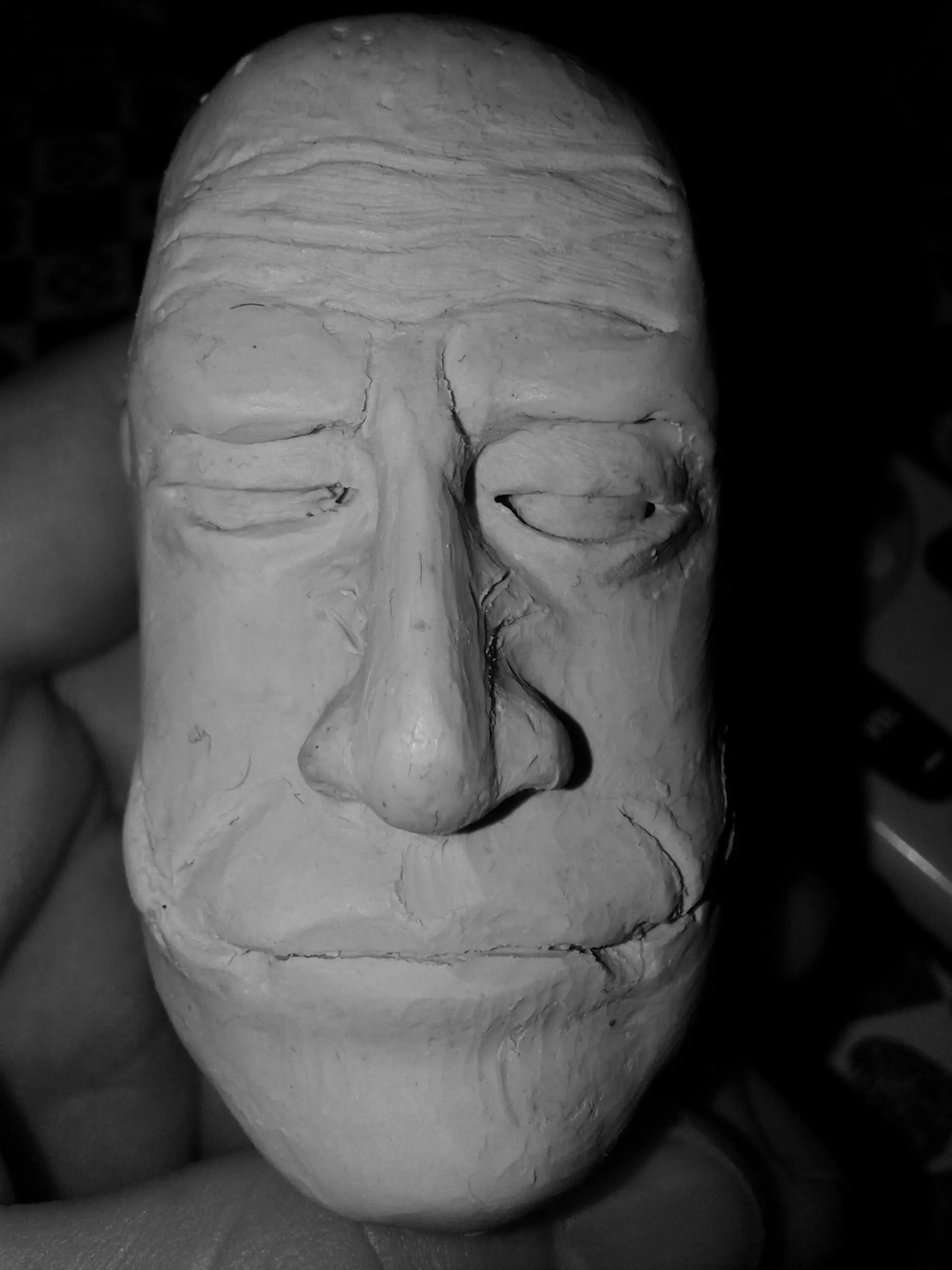 El guason hecho por mi