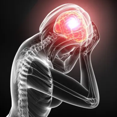 cerebro