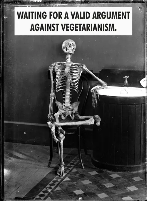 humor