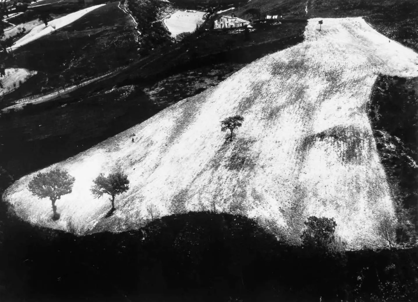 mario giacomelli