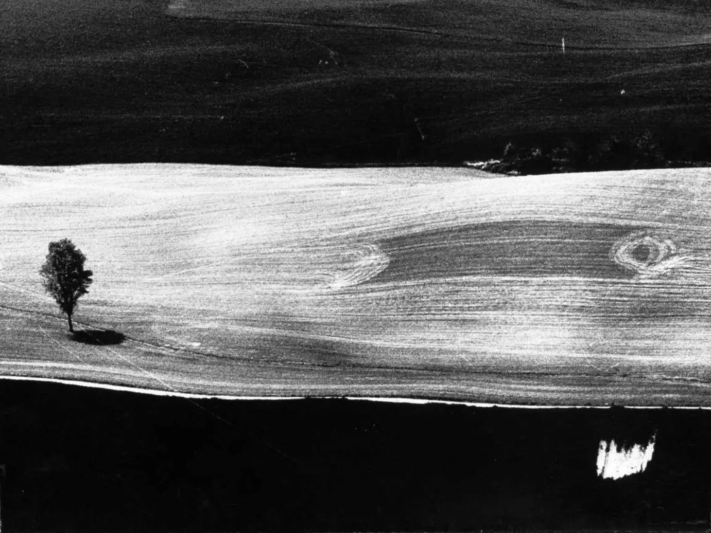 Mario Giacomelli: siluetas, paisajes y seminaristas