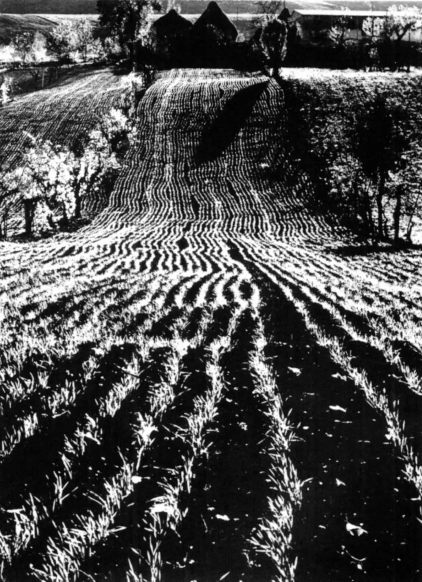 mario giacomelli