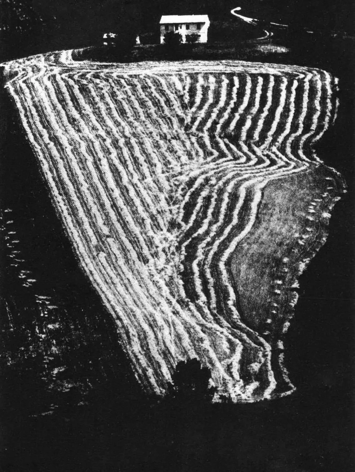 Mario Giacomelli: siluetas, paisajes y seminaristas