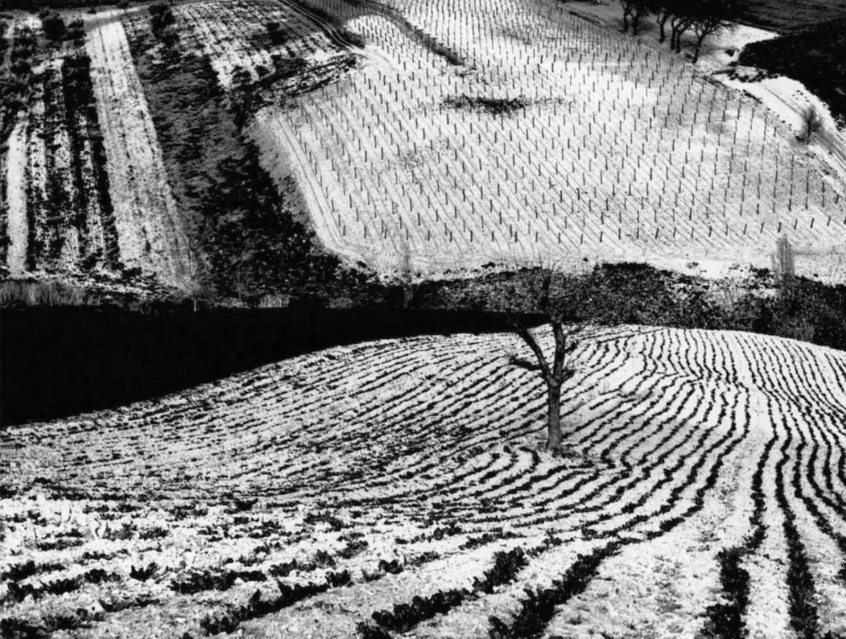 Mario Giacomelli: siluetas, paisajes y seminaristas