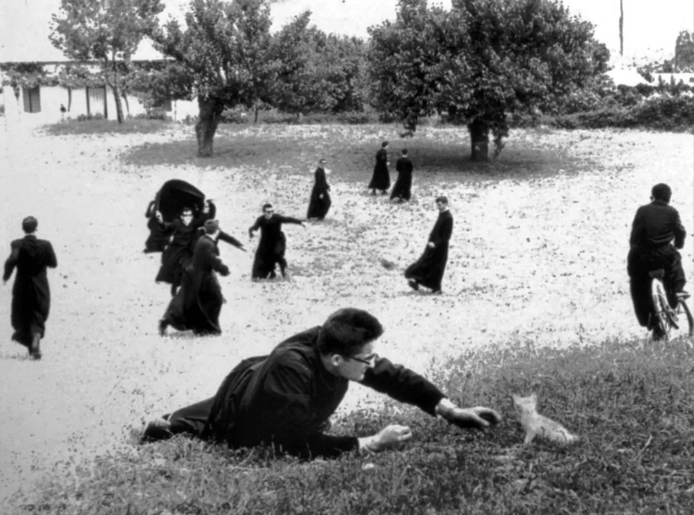 mario giacomelli