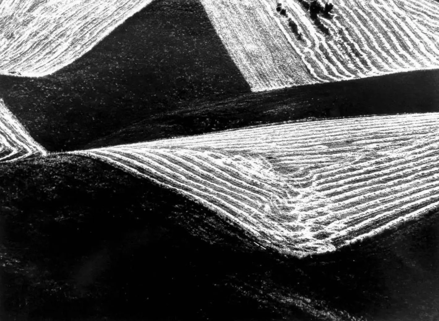 mario giacomelli