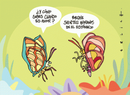 etiqueta4