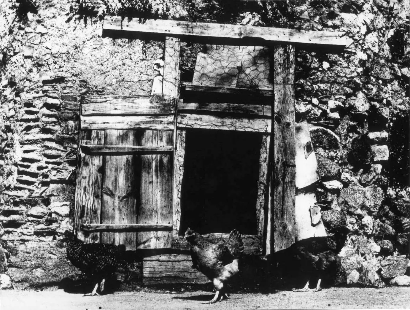 Mario Giacomelli: siluetas, paisajes y seminaristas
