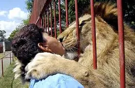Excelentes fotos de animales salvajes.