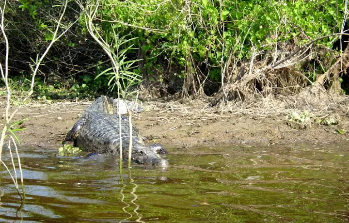 Paraguay su artesania y sus bellos paisajes.