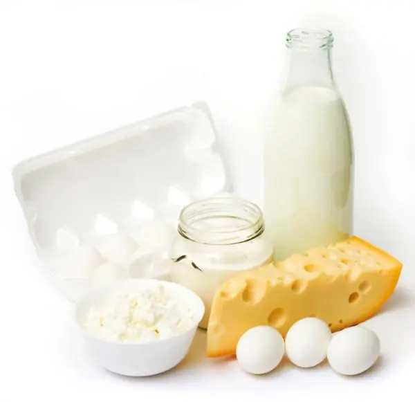 alimentos