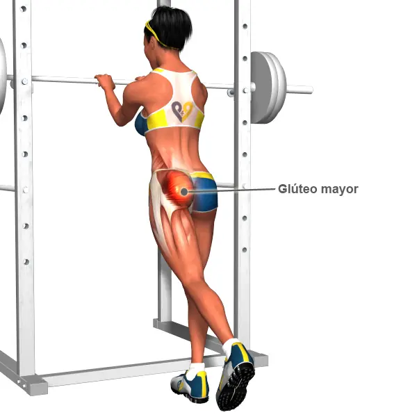 Taringuera: Los Mejores Ejercicios de Glúteos