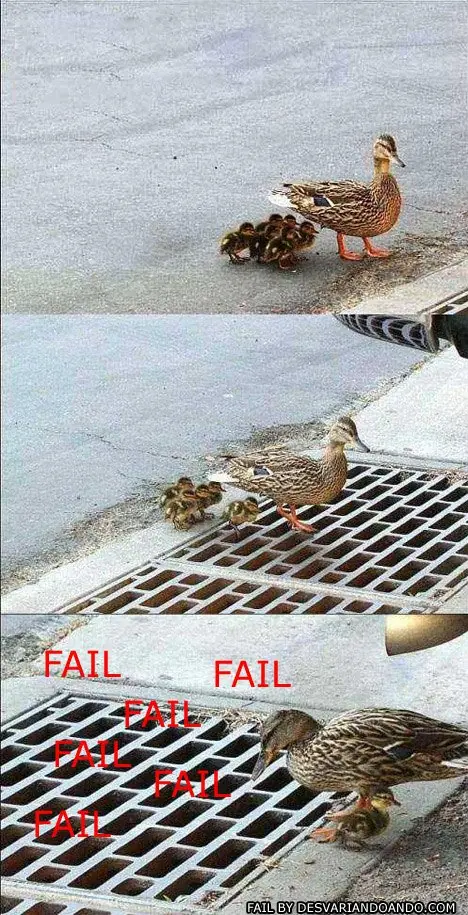compilacion