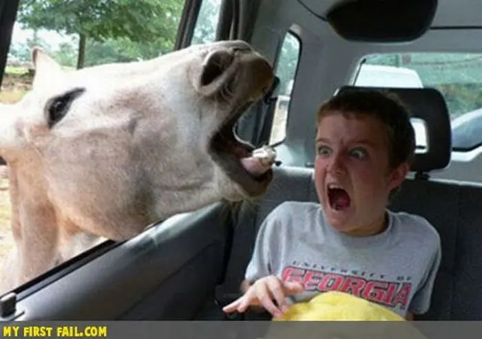 humor