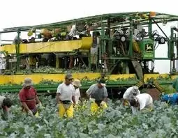 Trabajos a tiempo completo para latinos