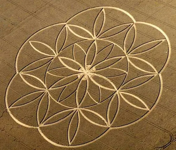 La Flor de la Vida