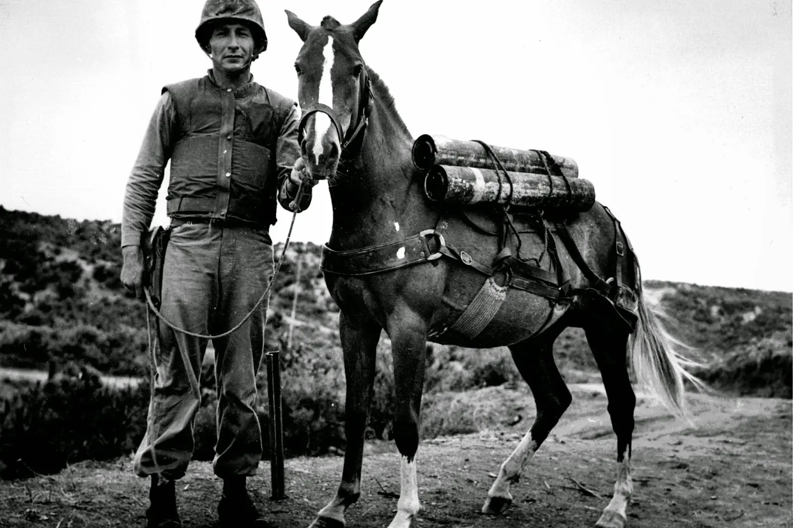 sargento