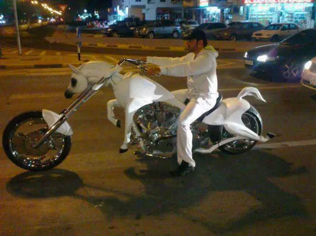 Animales salvajes