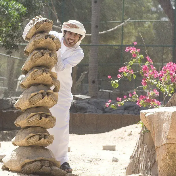 fotos curiosas de un dia normal en dubai