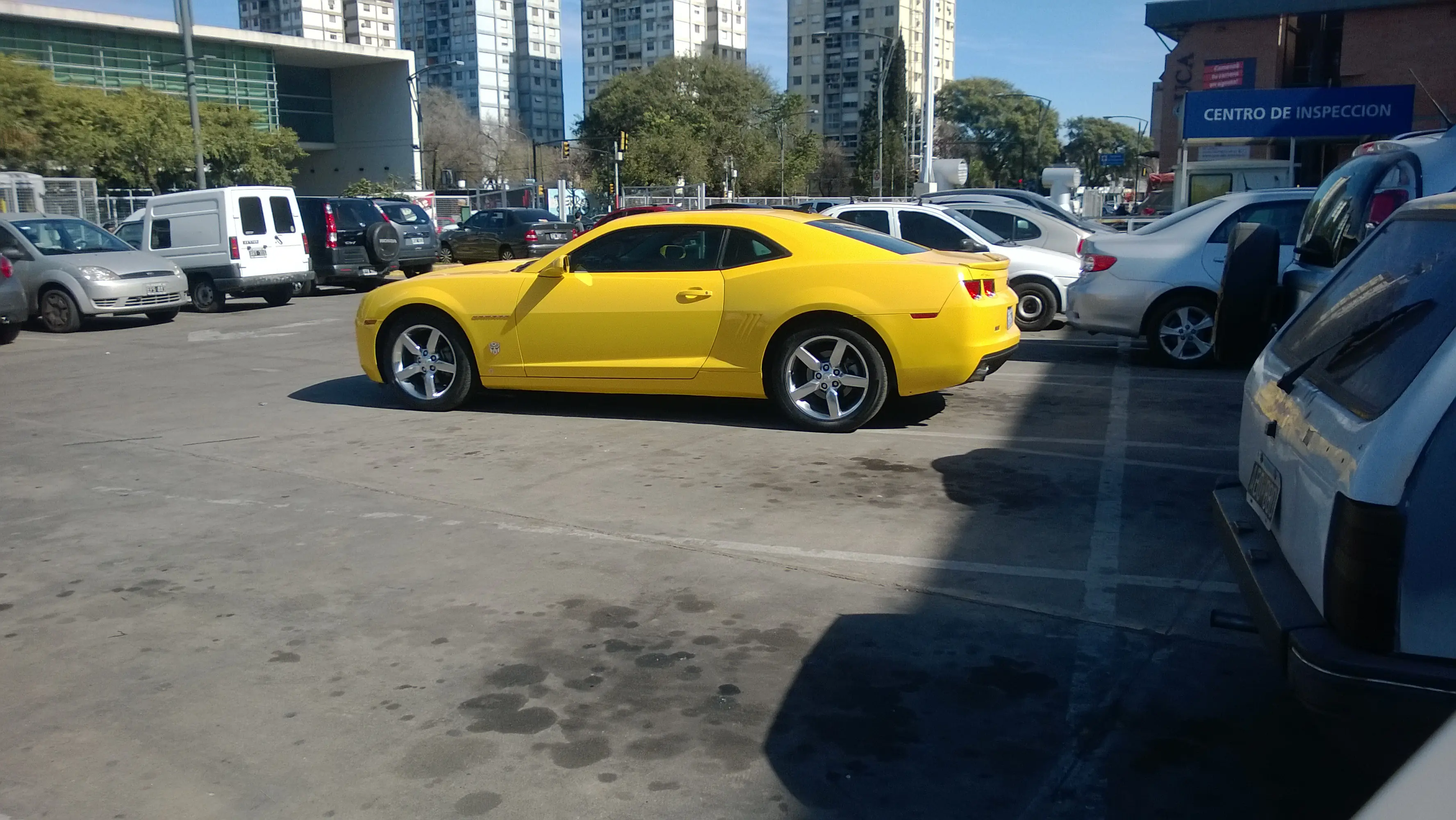 pantera