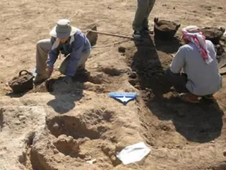 egiptologia