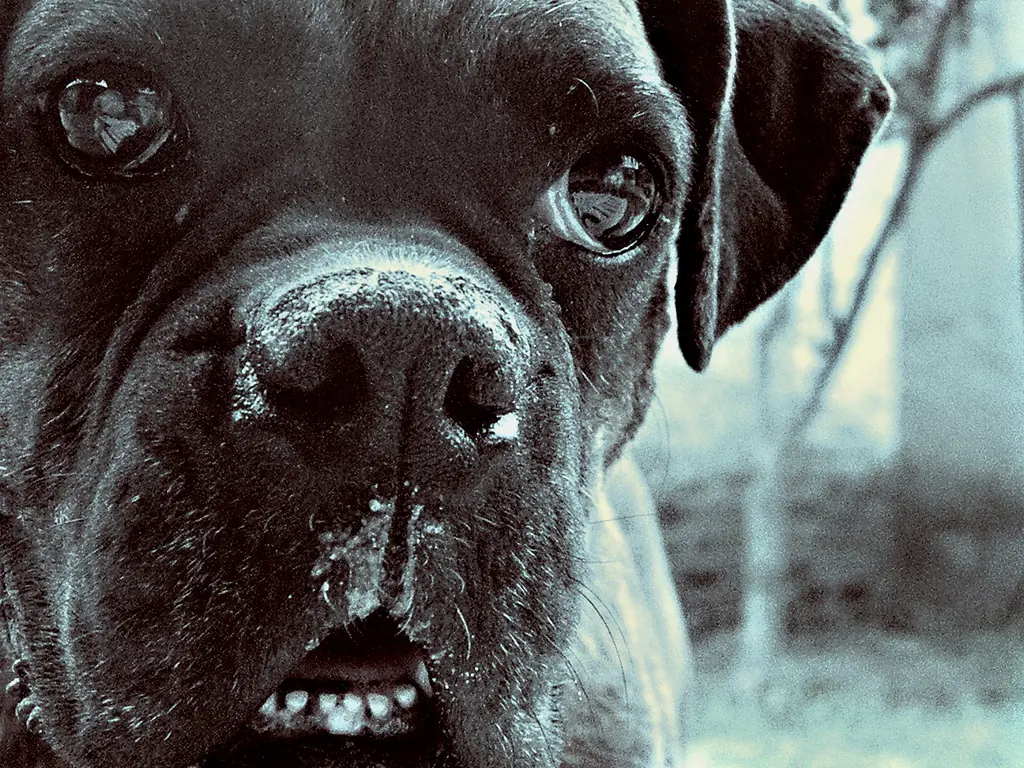 camara fotografica