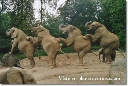 6 Preguntas curiosas con respuestas cientificas