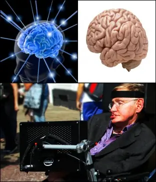 El cerebro es capaz de sobrevivir a la muerte del cuerpo