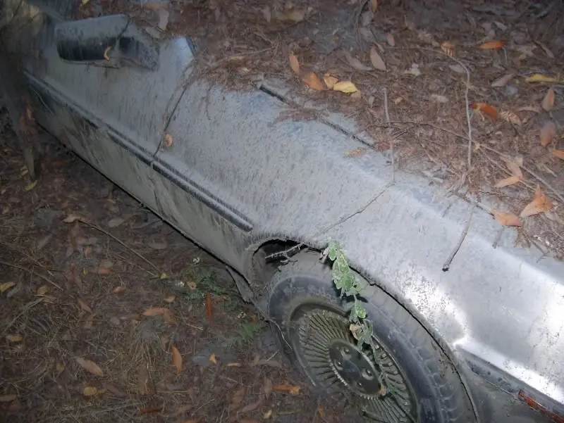 DeLorean abandonado en un bosque!
