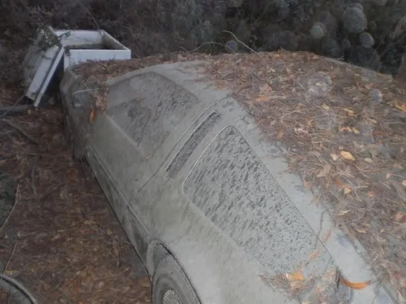 delorean